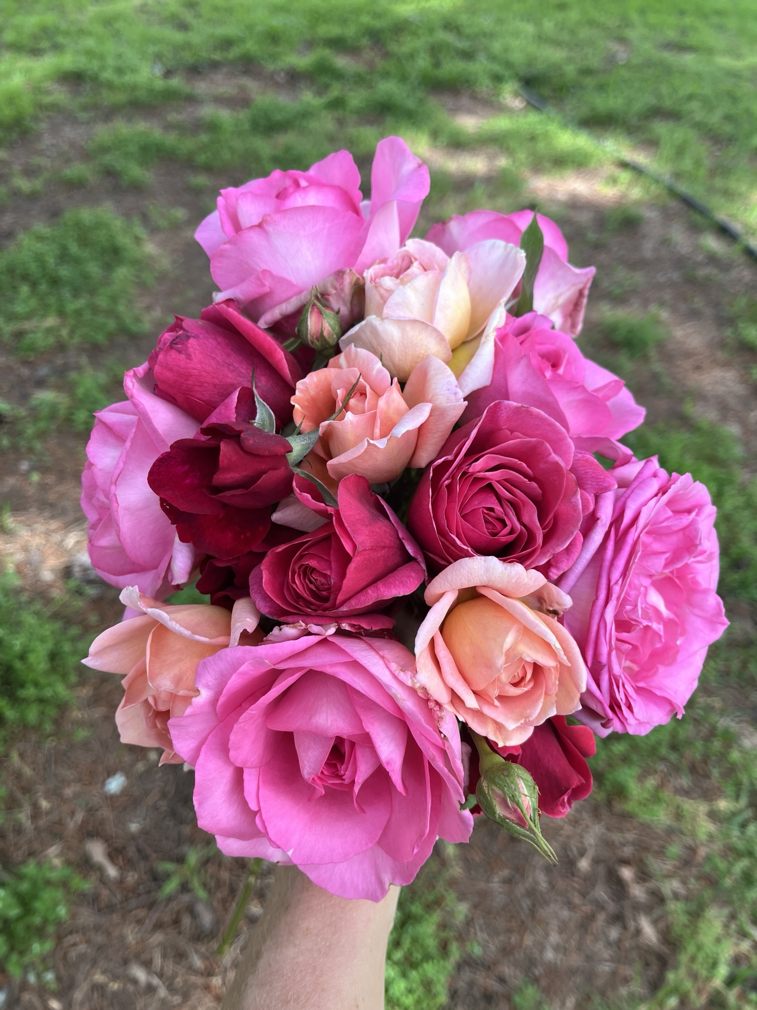 Year End Review 2024